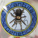 Tarantula Genetics