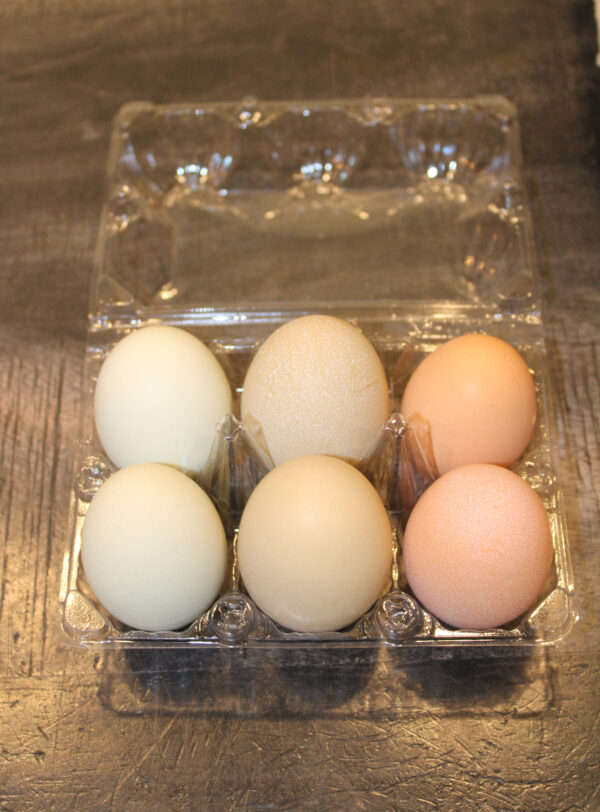 Fresh Eggs