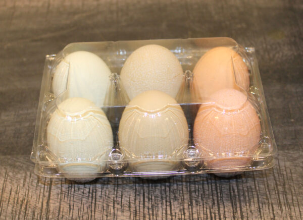Fresh Eggs